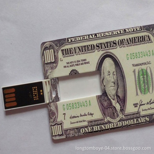 USD Dollar Credit Card USB Flash Drive